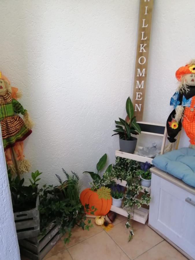 Altes Steinlager Apartment
